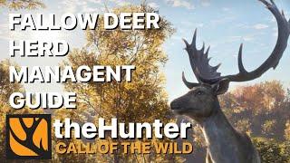 Ultimate Herd Management Guide for Fallow Deer Great One Grind on the Hunter Call of the Wild