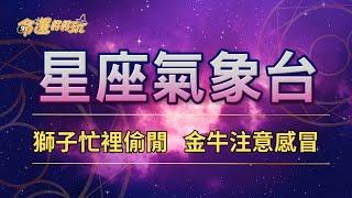 【命運好好玩】2024/12/19星座運勢 - 獅子忙裡偷閒 金牛注意感冒