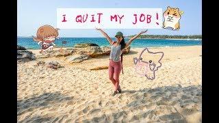 I quit my job!  LAZYPANDAH