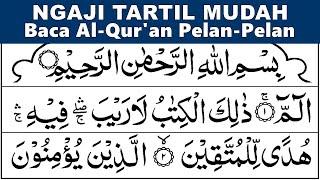 BELAJAR NGAJI QURAN SURAH AL-BAQARAH 1-20 Pelan-Pelan Tartil Pemula