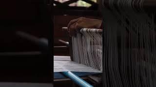 The Enchanting Tale of Silk: From China's Yangshao Culture to the Vast Silk Road Empire| SGK English