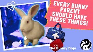 The Ultimate Emergency Care Kit for Rabbits