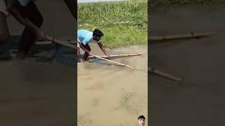 #fishing #fishingwithnet #fish #netfishing #catfish #netfish #fishingtips #netfising #fisherman
