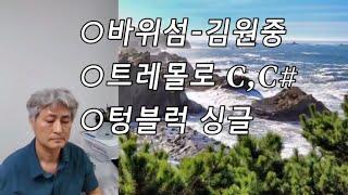 바위섬-김원중 트레몰로하모니카 C,C#