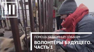 ВОЛОНТЕРЫ БУДУЩЕГО. ЧАСТЬ ПЕРВАЯ. Помощь бездомным собакам