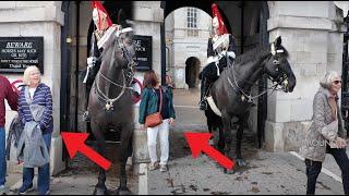 BRAVO GUARD!! Guard leans down, REPRIMANDS Tourists "Outside the White Line Please"‼️