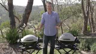 Which Weber Q is right for you?