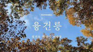 [ASMR] 왕릉의 만추. 화성 융건릉 1시간 낙엽길 산책
