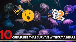 Top 10 Creatures That Survive Without a Heart