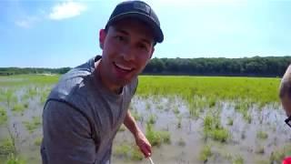 Summer Bowhunting Practice - The Hunting Public