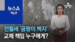 [팩트맨]전월세 ‘곰팡이 벽지’, 교체 책임 누구에게? | 뉴스A