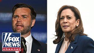 JD Vance tears into Kamala Harris over 'bizarre' response to protesters