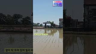 884 바다가 보이는 청하면 덕천리 토지! 전원주택지로 추천드려요 주말농장용으로 딱! 포항 청하면 땅 #부동산