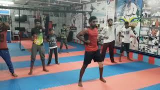 V-karate Academy