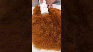 Best vacuum for pet hair 2022 Neakasa pet grooming kits