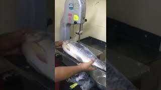 Fast Fish Cutting Compilation | Fish Cutting Skills | Vlog 7