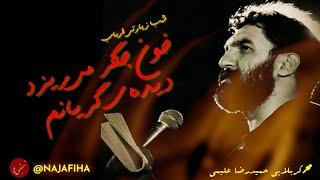 کربلایی حمید‌رضا علیمی | روز و شب از هجرانت بی سروسامانم | تک فوق‌العاده | دیوانگان حسین کاشان 1397