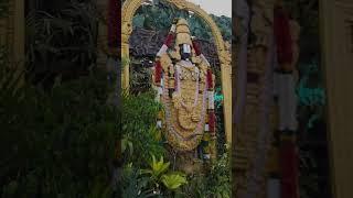 Tirupatibalaji whatsapp status 🪷 @TirumalaTirupatiInfobyKHM #spirtuality #tirupati #tirumala 🪷