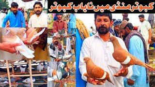 Kabooter Mandi | DG khan ki Mandi live prices update 108 vlog