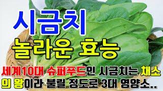 시금치의 놀라운 효능 8가지 & 부작용 / "시금치로 채우는 영양의 공간, 건강한 몸과 마음을 위한 선택"