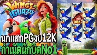 Wings of Igiazu : สล็อตpg นกแสกpg งบ12K กำเนิดนักบิดNo1!