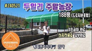 연천땅 연천토지 주말농장 연천군 백학면 두일리 188평(도로지분 포함) 계획관리지역/임야 #240521