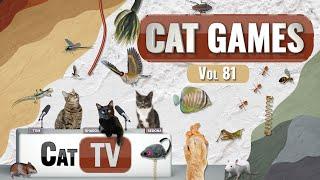 KATZENSPIELE | Ultimative Katzen-TV-Zusammenstellung Band 81 | 4 STUNDEN 