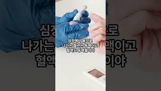 정맥과 동맥에 대해서#subscribe #study #commonsense #like #shorts #지식 #유튜버