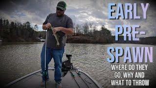 Early Pre-Spawn Bass Fishing 101