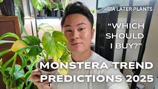 Monsteras Worth Buying in 2025 | My Top Choices & Trend Predictions