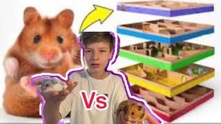 Hamster library battle ￼