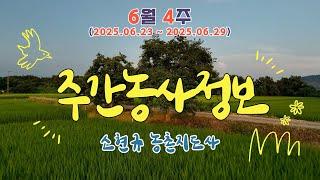 [ 주간농사정보 ] 6월 4째주 (2025. 06. 23. ~ 06. 29)