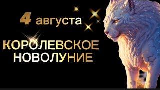 04.08.24г КОРОЛЕВСКОЕ НОВОЛУНИЕ | ВРАТА ЛЬВА