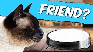 My Siamese Cat OUTSMARTS a Robot Vacuum