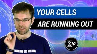 The Hallmarks of Aging: Stem Cell Exhaustion | LifeXtenShow