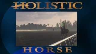 Holistic Horse TV