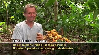 Ernest Götsch, globo rural em agricultura Sintrópica