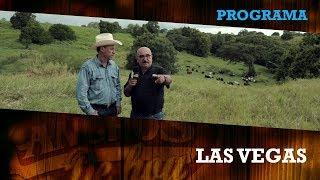 GIROLANDO Rancho Las Vegas Tamaulipas