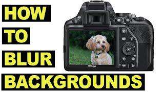 How To Blur Backgrounds - Depth of Field for beginners - Bokeh made easy!