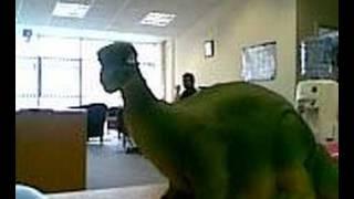 Johnny Green Eyes accidently rides a dipolodocus