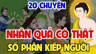 20 Chuyện Nhân Quả Hay Nhất Về Số Kiếp Con Người, Cảnh Tỉnh Thế Gian...Gieo Nhân Gặt Quả | nghe Sợ