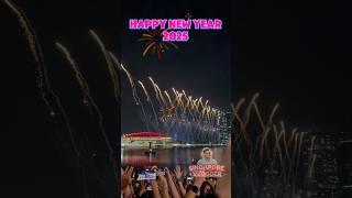 Singapore newyear celebration and fireworks #singapore #newyear #newyear2025 #vlogs #vlog #2025 #sg