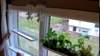 GIF Time Lapse