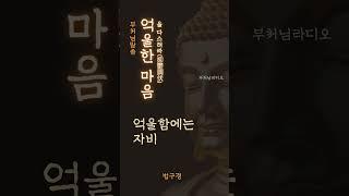 억울한 마음을 다스려라(抑鬱調伏) | 분노는 적을 해치기 전에 나를 먼저 태운다 | 부처님말씀 | 석가모니명언 | 인생지혜 | 명상의말씀