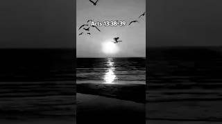 Set free from sin. #verseoftheday#bibletruth #forgiveness #salvationisfree