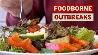 How FDA Investigates Foodborne Illness Outbreaks