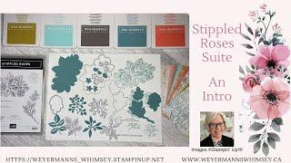 Stippled Roses Bundle with Softly Stippled DSP - An introduction.