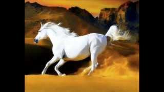 EL CORRIDO DEL CABALLO BLANCO  Jose Alfredo Jiménez