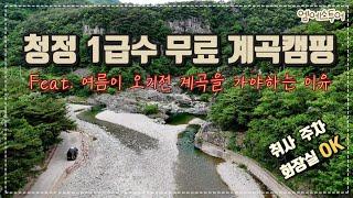 [엠에스투어] 청정1급수 무료계곡캠핑 | 여름이 오기전 계곡을 가야하는 이유 | 르노마스터캠핑카 | 월든R550 | 캠핑카여행 | 영덕 옥계계곡 | 경북 노지차박 | 계곡노지캠핑