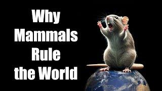 Why Mammals Rule the World